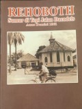 Rehoboth : sumur di tepi Jalan Daendels Anno Domini 1861