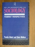 An introduction to sociology : feminist perspectives