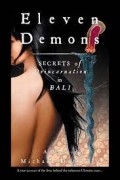 Eleven demons: secrets of deincarnation in Bali