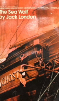 Image of The sea wolf