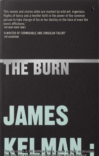 Image of The Burn