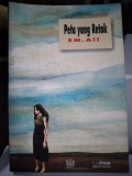 Peta Yang Retak