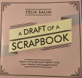 A Draft of a Scrapbook: Stream of Thoughts and Insightful Truths from a Banker and Engaged Activist
