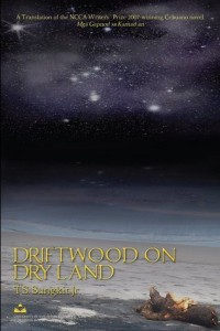 Image of Driftwood on Dry Land
