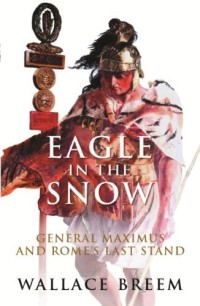 Image of Eagle In The Snow