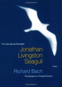 Image of Jonathan Livingston Seagull