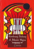 Kembang Ilalang di Musim Hujan
