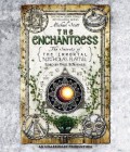 The Enchantress (The Secrets of the Immortal Nicholas Flamel)