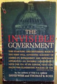 Image of The Invisble Government