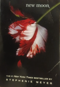 Image of New Moon: A Novel